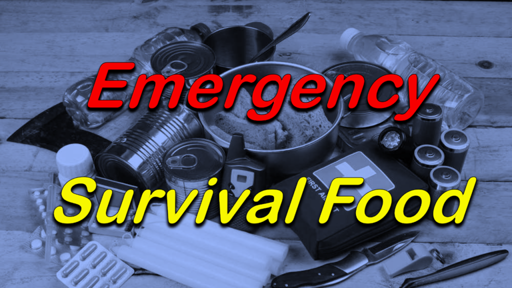 Best Survival Food Kits